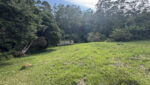 sitio-20mil-m2-venda-serra-itapeti-mogi-corrego-casa-sede-casa-caseiro-casa-2 (11)