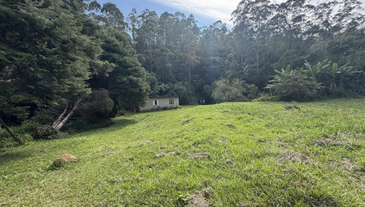 sitio-20mil-m2-venda-serra-itapeti-mogi-corrego-casa-sede-casa-caseiro-casa-2 (11)