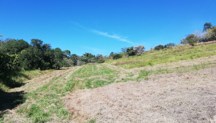 sitio-casa-sede-casa-caseiro-galpao-34.000m2-cocuera-venda (13)