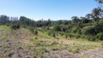 sitio-casa-sede-casa-caseiro-galpao-34.000m2-cocuera-venda (16)