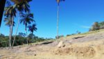 sitio-casa-sede-casa-caseiro-galpao-34.000m2-cocuera-venda (5)