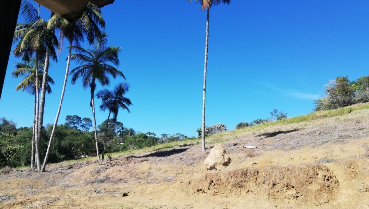 sitio-casa-sede-casa-caseiro-galpao-34.000m2-cocuera-venda (5)