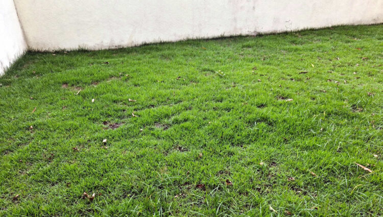 sobrado-cond-aruã-brisas-5-suites-6wc-350m2 (23)