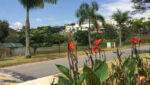 Avenida Aruã Lagos