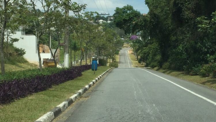 Avenida Lagos 2