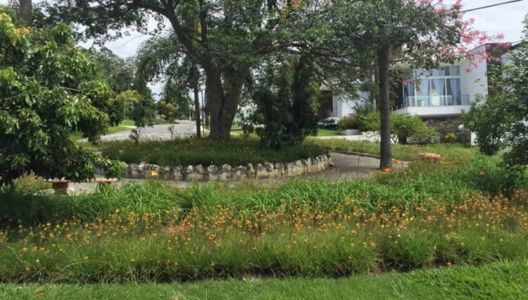 Praça LAgos 1