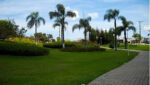 Rotatória Aruã Lagos