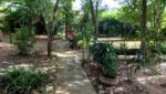 casa-estilo-chácara-urbana-mogi-moderno-1000m2-venda (12)