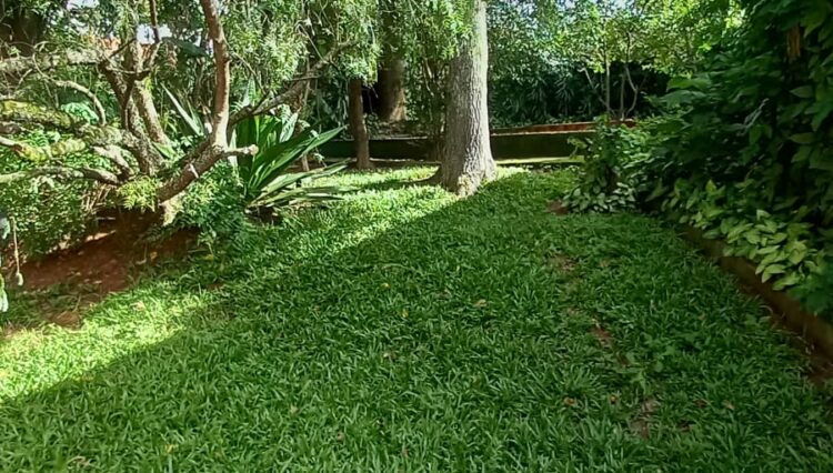 casa-estilo-chácara-urbana-mogi-moderno-1000m2-venda (45)