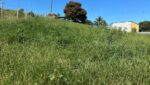 terreno-recanto da cachoeira-1341m2-santa-branca-venda (5)