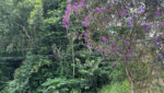 venda-2 lotes-aclive-cond-lagos-ecopark-mogi-720m2 (1)