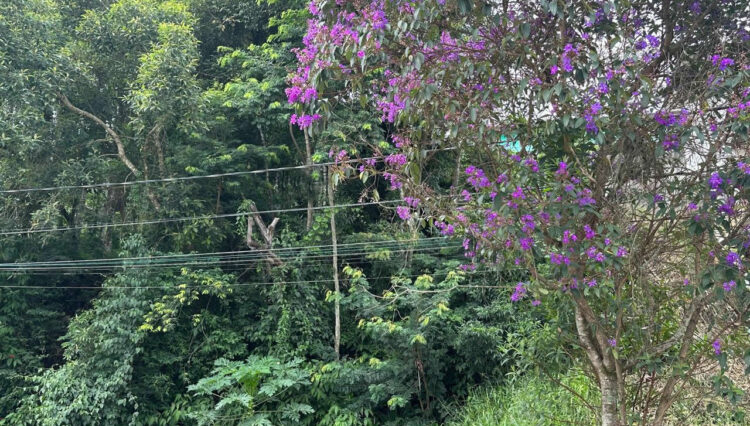 venda-2 lotes-aclive-cond-lagos-ecopark-mogi-720m2 (1)