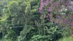 venda-2 lotes-aclive-cond-lagos-ecopark-mogi-720m2 (2)