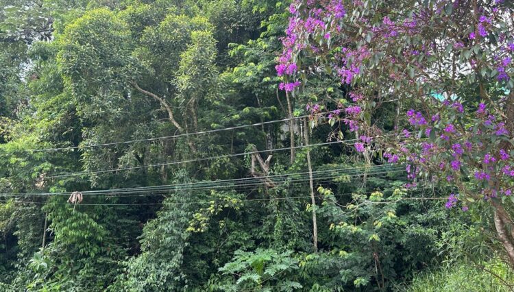 venda-2 lotes-aclive-cond-lagos-ecopark-mogi-720m2 (2)