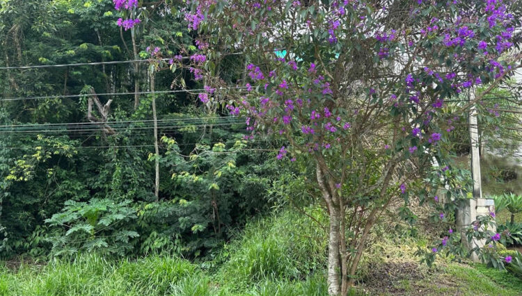 venda-2 lotes-aclive-cond-lagos-ecopark-mogi-720m2 (3)
