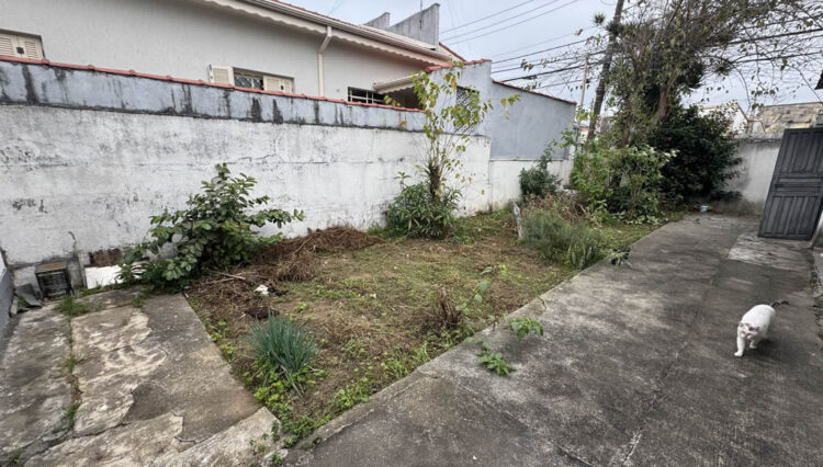 casa-térrea-comercial-terreno-309m2-2-dorm+edícula-quintal-venda-centro (17)