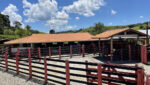 sitio-6-alqueires-paraibuna-10km-salesopolis-casa-sede-5-dorm-3-lagos-cocheiras-plantação-cercado (16)