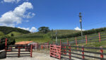 sitio-6-alqueires-paraibuna-10km-salesopolis-casa-sede-5-dorm-3-lagos-cocheiras-plantação-cercado (29)