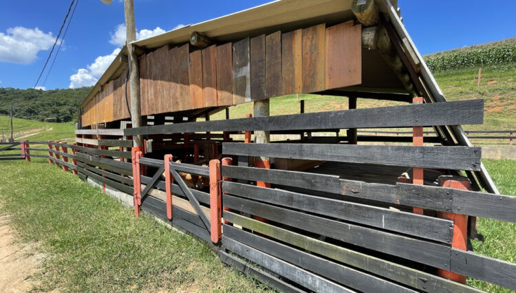 sitio-6-alqueires-paraibuna-10km-salesopolis-casa-sede-5-dorm-3-lagos-cocheiras-plantação-cercado (37)