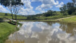 sitio-6-alqueires-paraibuna-10km-salesopolis-casa-sede-5-dorm-3-lagos-cocheiras-plantação-cercado (46)