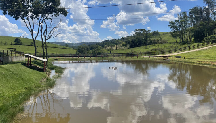 sitio-6-alqueires-paraibuna-10km-salesopolis-casa-sede-5-dorm-3-lagos-cocheiras-plantação-cercado (46)