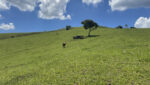 sitio-6-alqueires-paraibuna-10km-salesopolis-casa-sede-5-dorm-3-lagos-cocheiras-plantação-cercado (51)