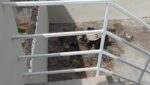 casa-2-dorm-sala-copa-cozinha-grande-quintal-vila-suissa-189m2-venda (28)