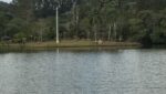 Ilha Reserva Lago Aruã