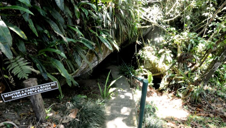 sitio-82.000m2-biritiba-mirim-nirvana-3-lagos (30)