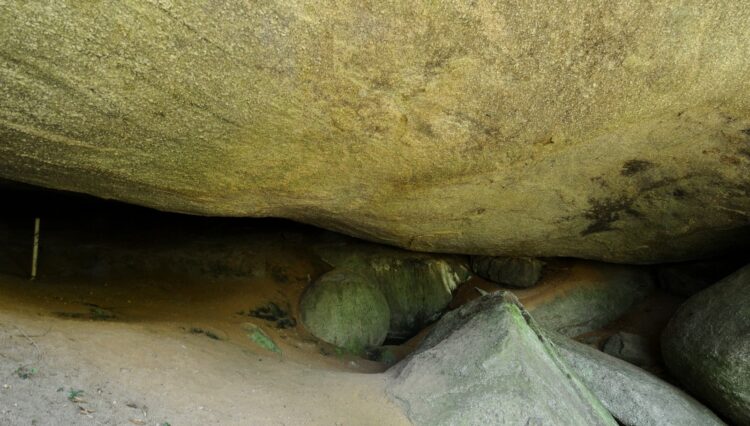 sitio-82.000m2-biritiba-mirim-nirvana-3-lagos (35)