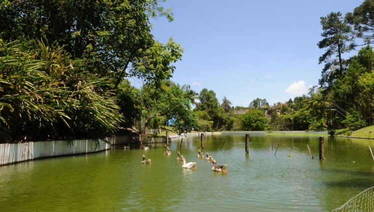 sitio-82.000m2-biritiba-mirim-nirvana-3-lagos (42)