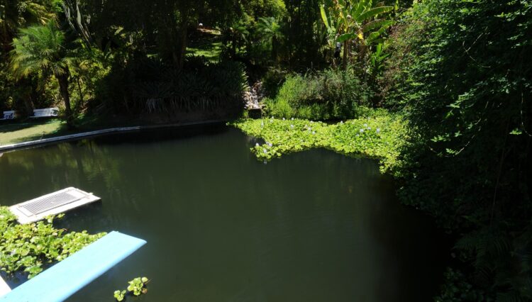 sitio-82.000m2-biritiba-mirim-nirvana-3-lagos (48)