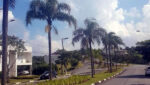 cond-monterrey-ville-avenida-min